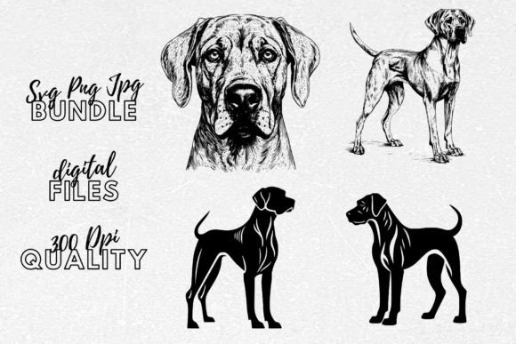 Rhodesian Ridgeback SVG - Dog Clipart